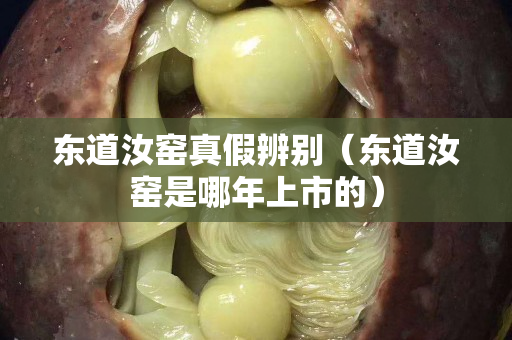 東道汝窯真假辨別（東道汝窯是哪年上市的）