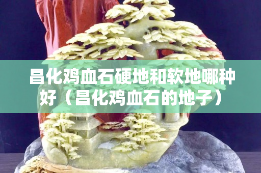 昌化雞血石硬地和軟地哪種好（昌化雞血石的地子）