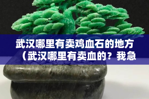 武漢哪里有賣雞血石的地方（武漢哪里有賣血的？我急需用錢？）