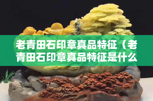 老青田石印章真品特征（老青田石印章真品特征是什么）