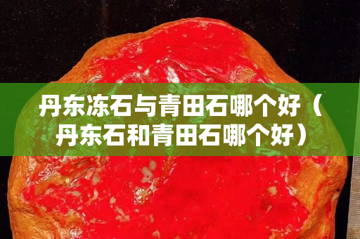 丹東凍石與青田石哪個(gè)好（丹東石和青田石哪個(gè)好）