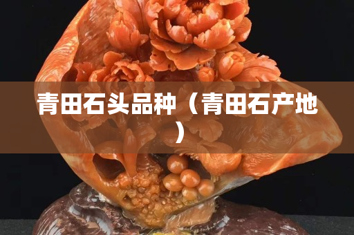 青田石頭品種（青田石產地）