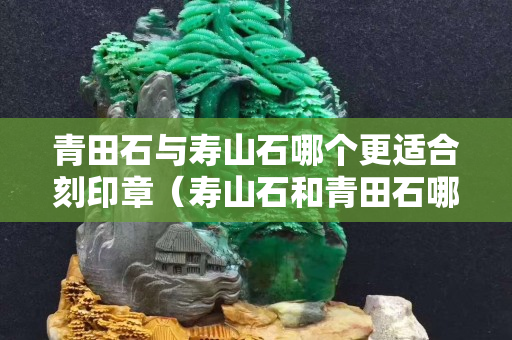 青田石與壽山石哪個更適合刻印章（壽山石和青田石哪個更有收藏價值）