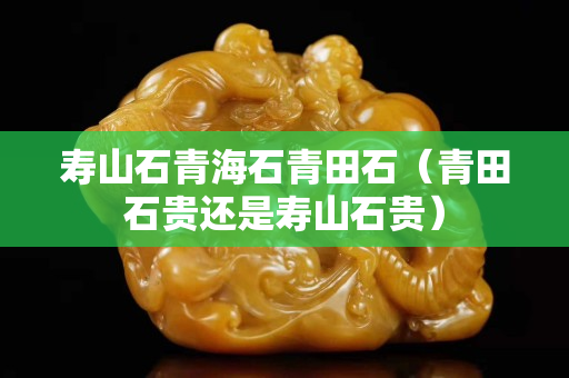 壽山石青海石青田石（青田石貴還是壽山石貴）