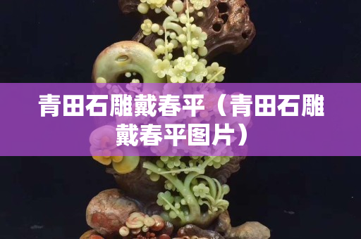 青田石雕戴春平（青田石雕戴春平圖片）