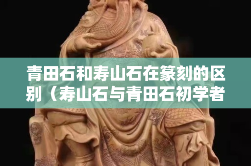 青田石和壽山石在篆刻的區別（壽山石與青田石初學者刻章哪個好）