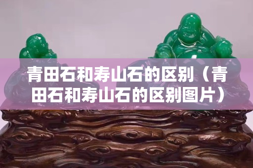 青田石和壽山石的區別（青田石和壽山石的區別圖片）