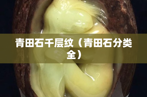 青田石千層紋（青田石分類全）