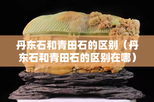 丹東石和青田石的區別（丹東石和青田石的區別在哪）