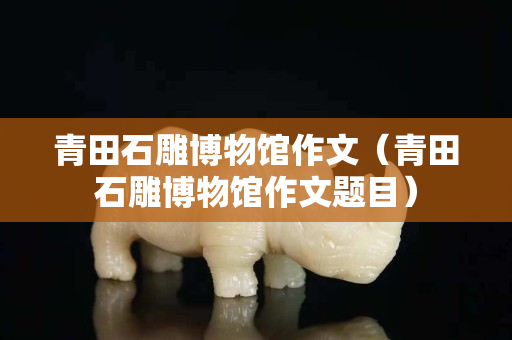 青田石雕博物館作文（青田石雕博物館作文題目）