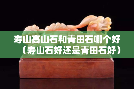 壽山高山石和青田石哪個好（壽山石好還是青田石好）