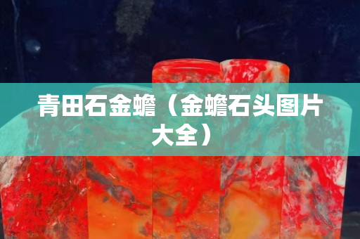 青田石金蟾（金蟾石頭圖片大全）