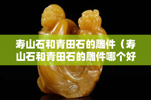 壽山石和青田石的雕件（壽山石和青田石的雕件哪個好）