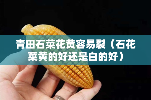 青田石菜花黃容易裂（石花菜黃的好還是白的好）