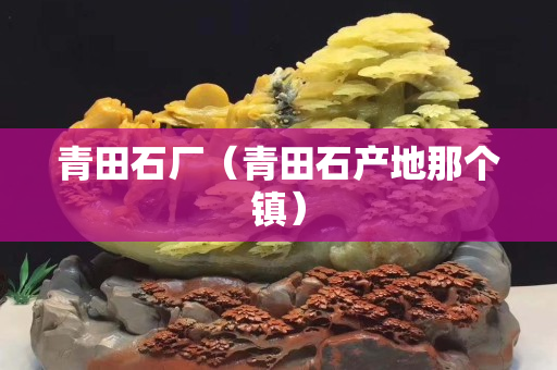 青田石廠（青田石產地那個鎮）