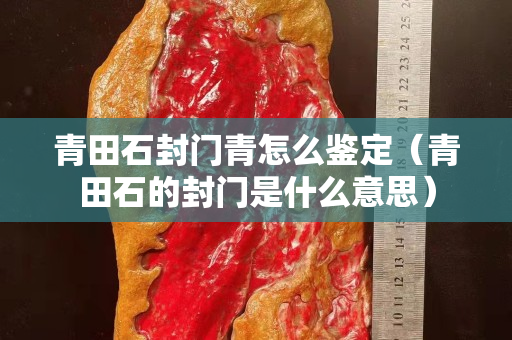 青田石封門青怎么鑒定（青田石的封門是什么意思）