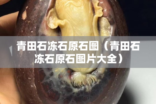 青田石凍石原石圖（青田石凍石原石圖片大全）