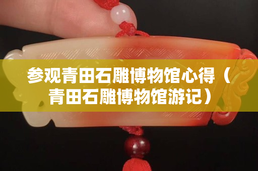參觀青田石雕博物館心得（青田石雕博物館游記）