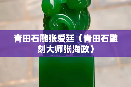 青田石雕張愛廷（青田石雕刻大師張海政）