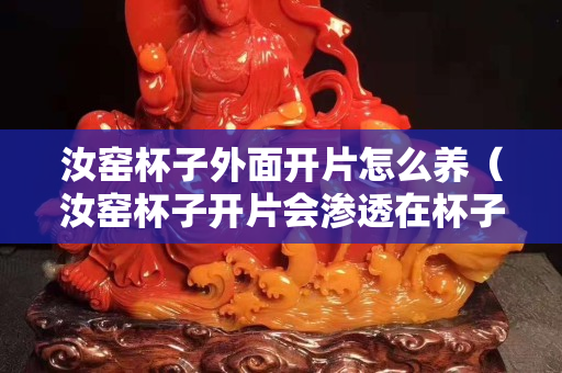 汝窯杯子外面開片怎么養（汝窯杯子開片會滲透在杯子外面嗎）