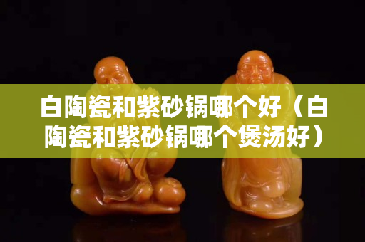 白陶瓷和紫砂鍋哪個好（白陶瓷和紫砂鍋哪個煲湯好）