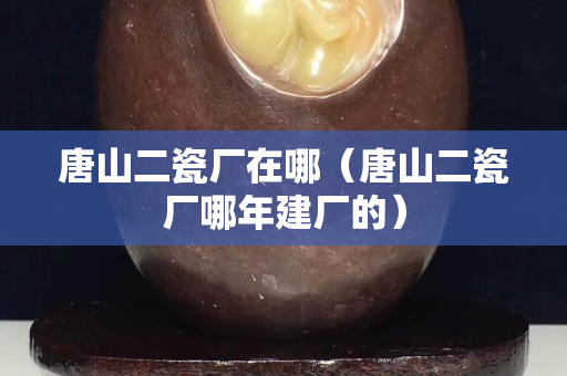 唐山二瓷廠在哪（唐山二瓷廠哪年建廠的）