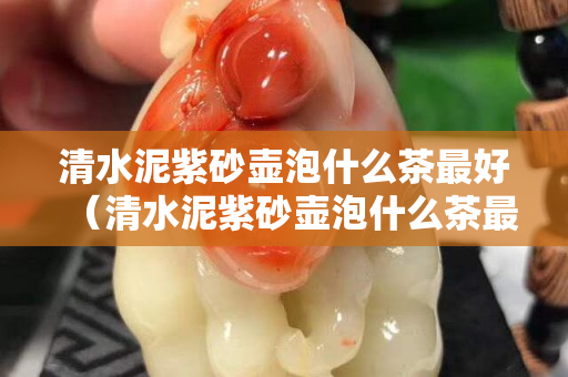 清水泥紫砂壺泡什么茶最好（清水泥紫砂壺泡什么茶最好呢）