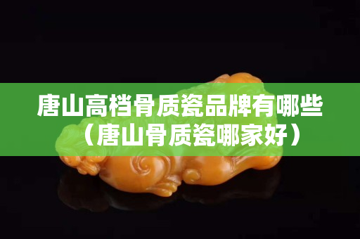 唐山高檔骨質瓷品牌有哪些（唐山骨質瓷哪家好）