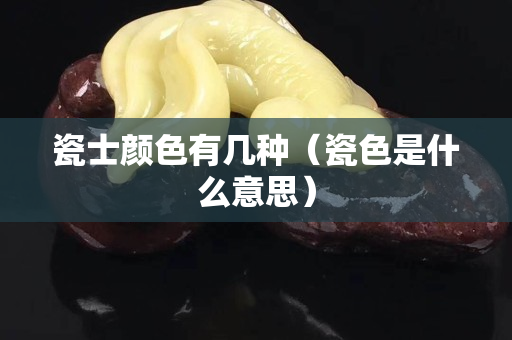 瓷士顏色有幾種（瓷色是什么意思）