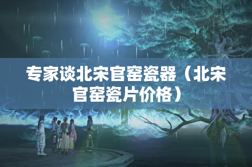 專家談北宋官窯瓷器（北宋官窯瓷片價格）