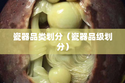 瓷器品類劃分（瓷器品級(jí)劃分）