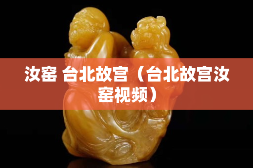 汝窯 臺北故宮（臺北故宮汝窯視頻）