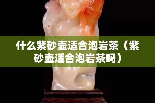 什么紫砂壺適合泡巖茶（紫砂壺適合泡巖茶嗎）