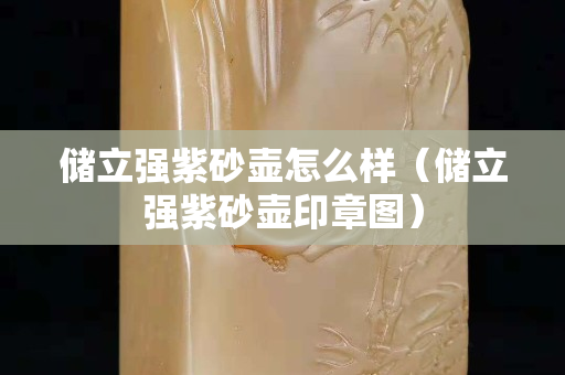 儲立強紫砂壺怎么樣（儲立強紫砂壺印章圖）