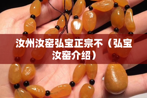 汝州汝窯弘寶正宗不（弘寶汝窯介紹）