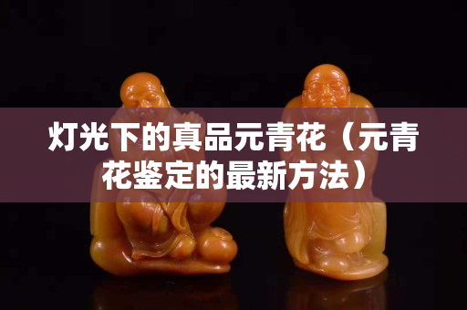 燈光下的真品元青花（元青花鑒定的最新方法）