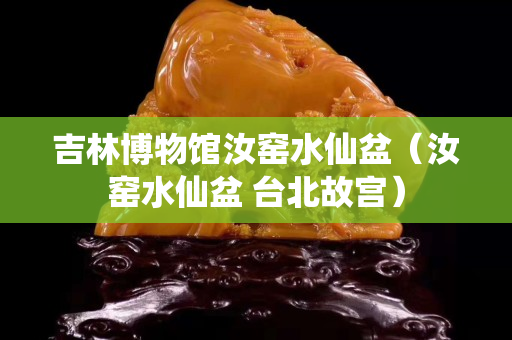 吉林博物館汝窯水仙盆（汝窯水仙盆 臺北故宮）