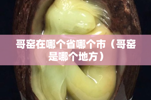 哥窯在哪個省哪個市（哥窯是哪個地方）