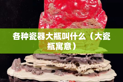 各種瓷器大瓶叫什么（大瓷瓶寓意）