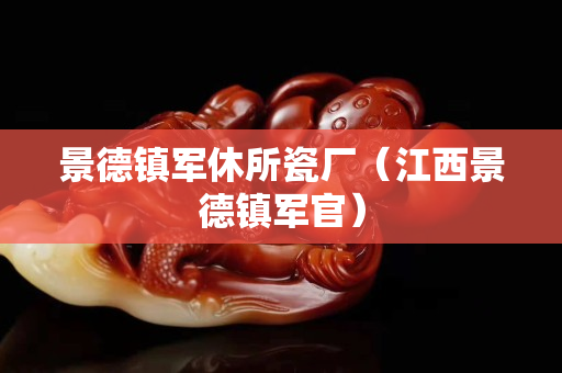 景德鎮軍休所瓷廠（江西景德鎮軍官）