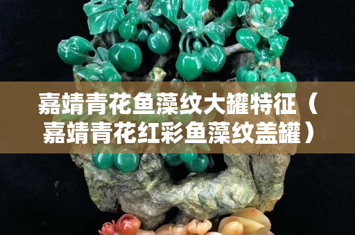 嘉靖青花魚藻紋大罐特征（嘉靖青花紅彩魚藻紋蓋罐）
