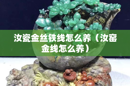 汝瓷金絲鐵線怎么養（汝窯金線怎么養）