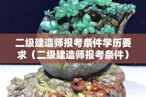 二級建造師報考條件學歷要求（二級建造師報考條件）