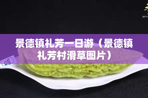 景德鎮禮芳一日游（景德鎮禮芳村滑草圖片）