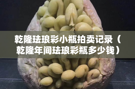 乾隆琺瑯彩小瓶拍賣記錄（乾隆年間琺瑯彩瓶多少錢）