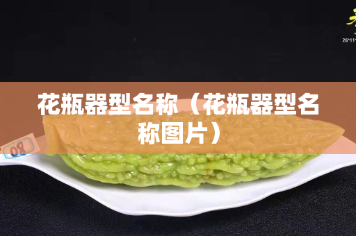 花瓶器型名稱（花瓶器型名稱圖片）