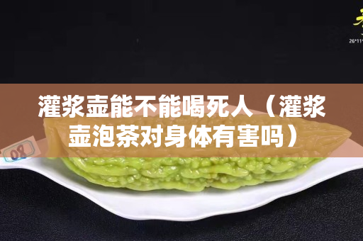 灌漿壺能不能喝死人（灌漿壺泡茶對身體有害嗎）