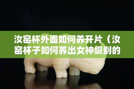 汝窯杯外面如何養(yǎng)開片（汝窯杯子如何養(yǎng)出女神級別的開片）