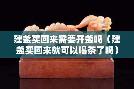 建盞買回來需要開盞嗎（建盞買回來就可以喝茶了嗎）