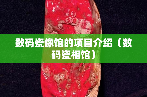 數(shù)碼瓷像館的項目介紹（數(shù)碼瓷相館）